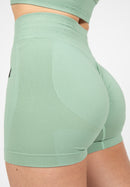 Whitney Seamless Shorts -Light Green-