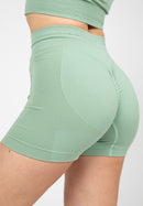 Whitney Seamless Shorts -Light Green-